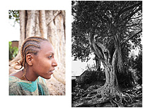 Portrait with Gigantic Tree